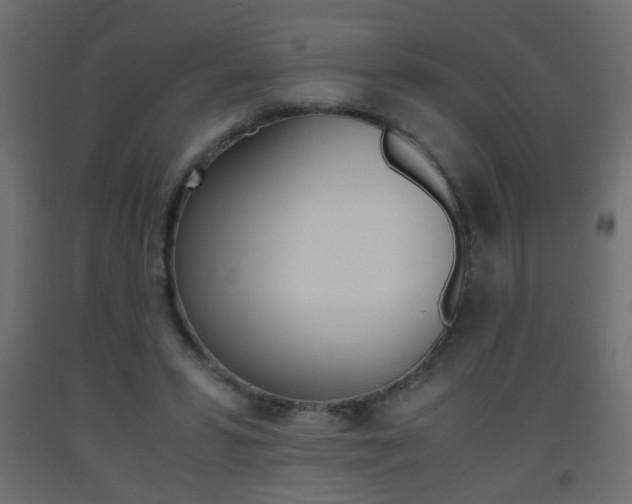 X0000093440399200710120949