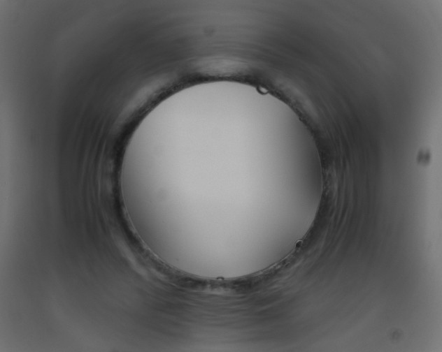 X0000093440400200710120949