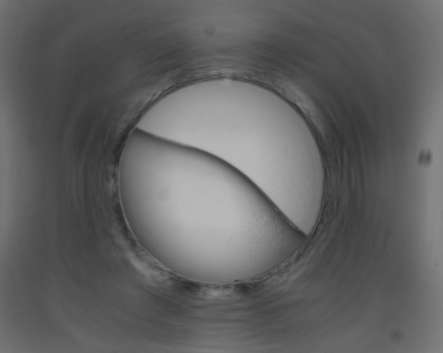 X0000093440401200710120949