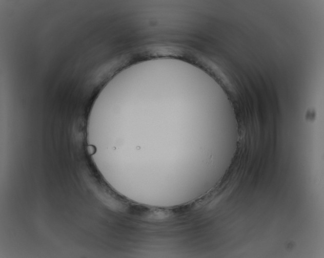 X0000093440402200710120949