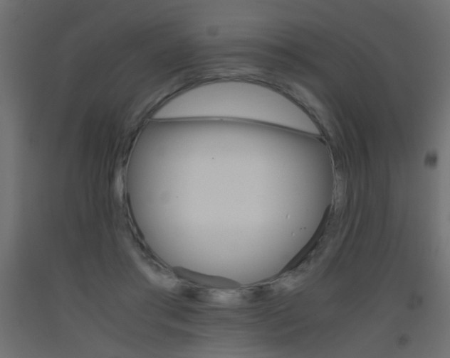 X0000093440405200710120949