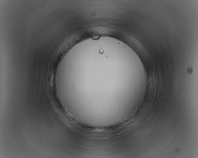 X0000093440406200710120949