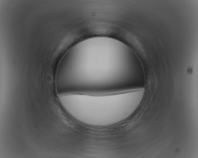 X0000093440407200710120949