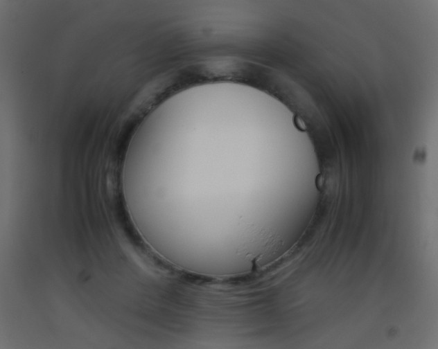 X0000093440408200710120949