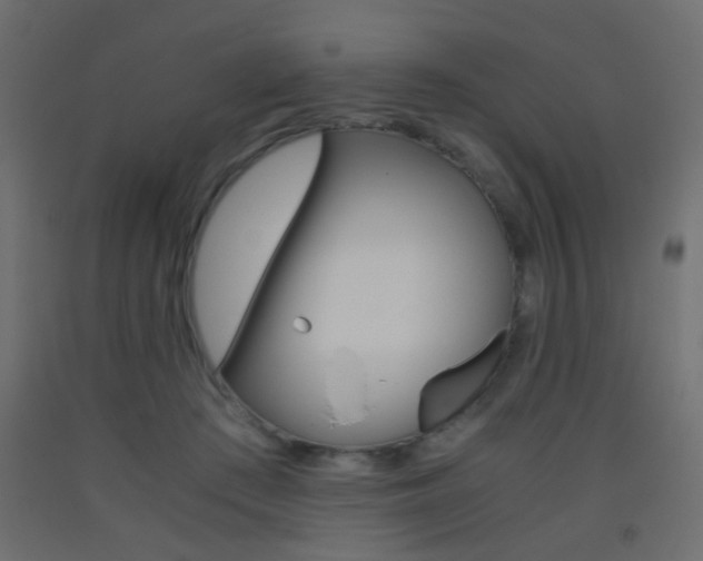 X0000093440409200710120949