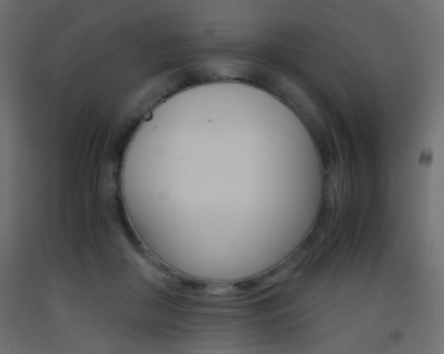 X0000093440410200710120949