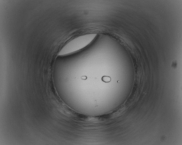 X0000093440413200710120949