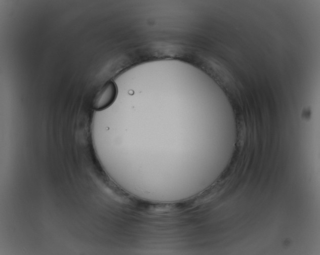X0000093440414200710120949