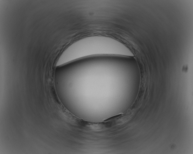 X0000093440417200710120949