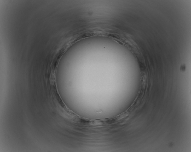 X0000093440419200710120949