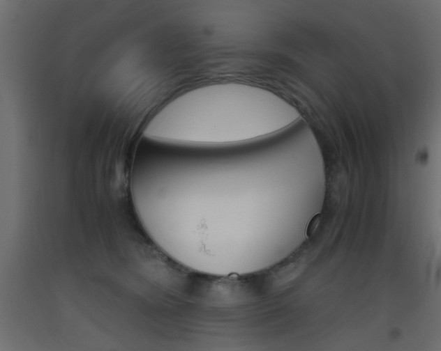 X0000093440420200710120949