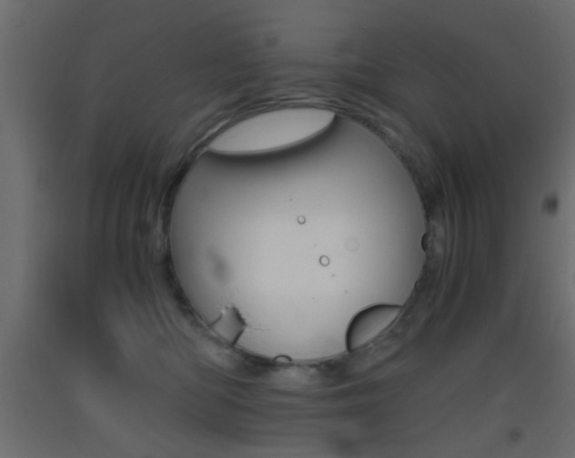 X0000093440422200710120949