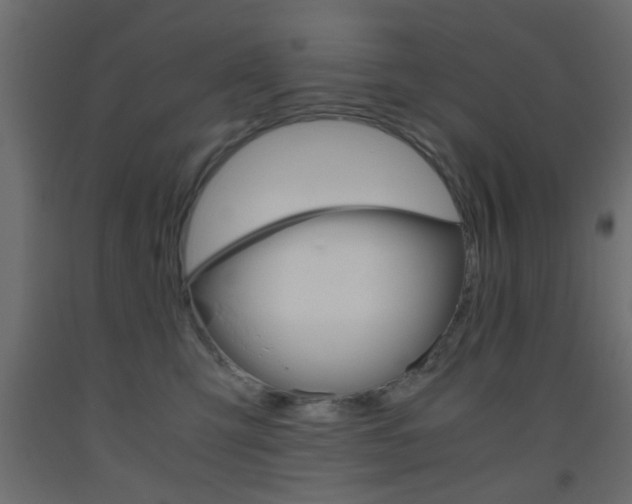 X0000093440423200710120949