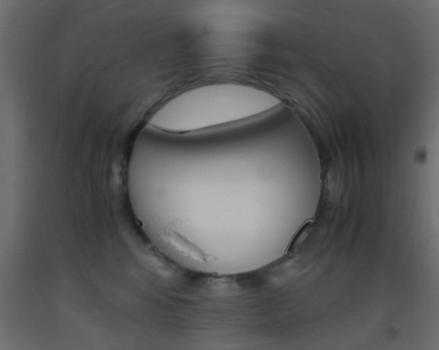 X0000093440424200710120949