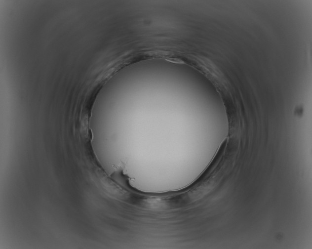 X0000093440425200710120949