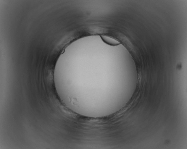 X0000093440426200710120949