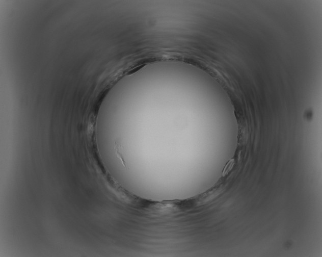 X0000093440427200710120949