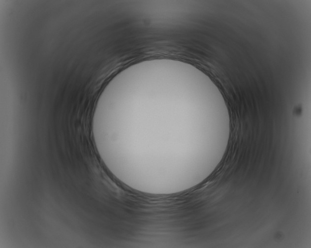X0000093440428200710120949