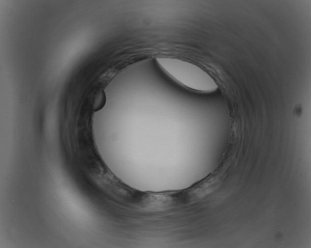 X0000093440429200710120949