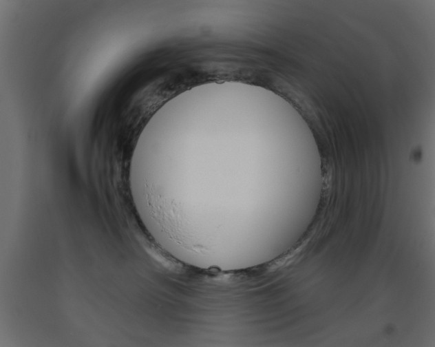 X0000093440430200710120949