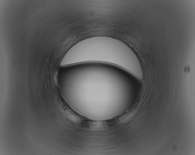 X0000093440432200710120949