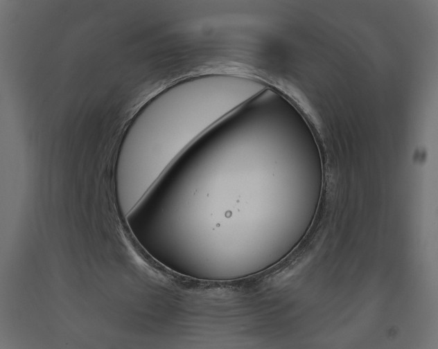 X0000093440433200710120948