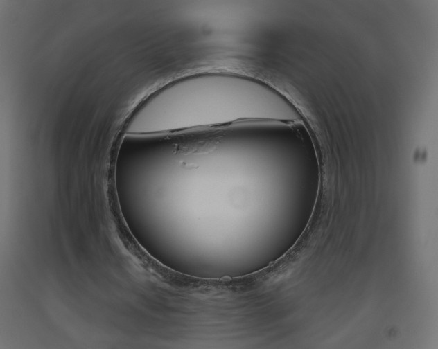 X0000093440434200710120948