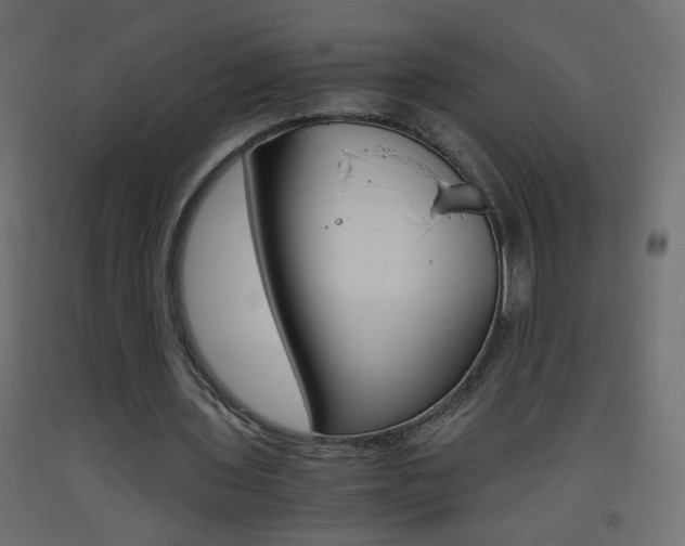 X0000093440435200710120948