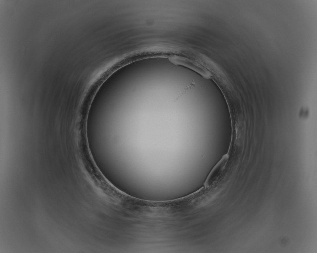 X0000093440436200710120948