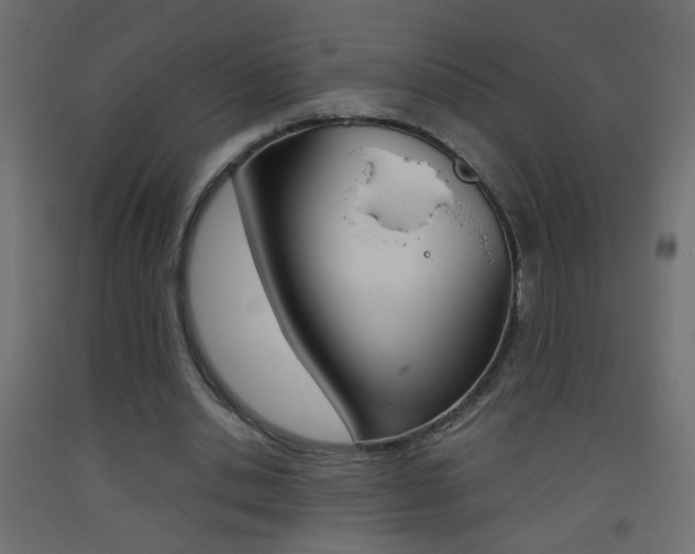 X0000093440438200710120948