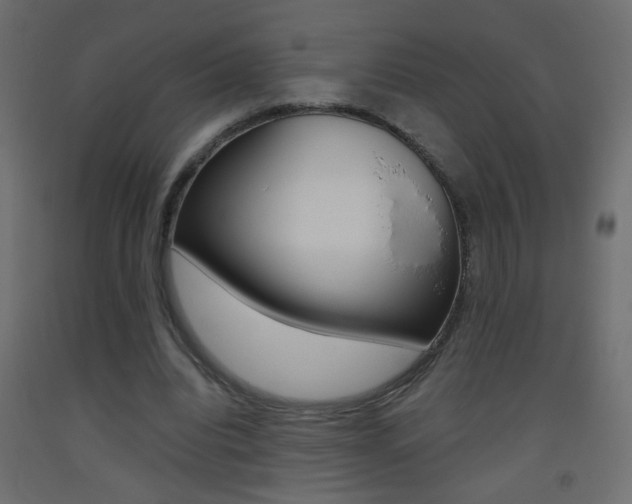 X0000093440440200710120948