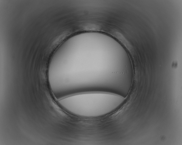 X0000093440441200710120948