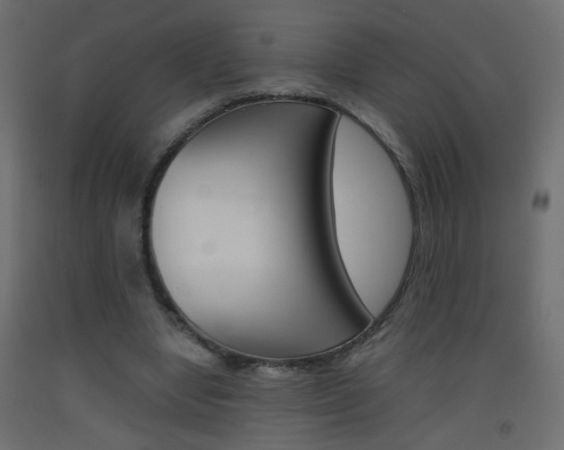 X0000093440442200710120948
