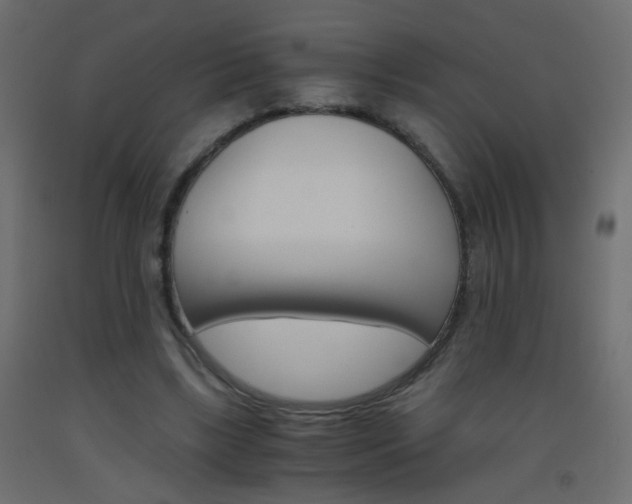 X0000093440443200710120948