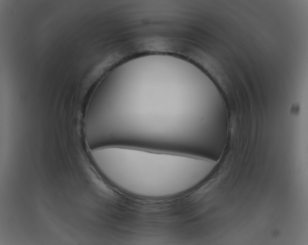 X0000093440445200710120948