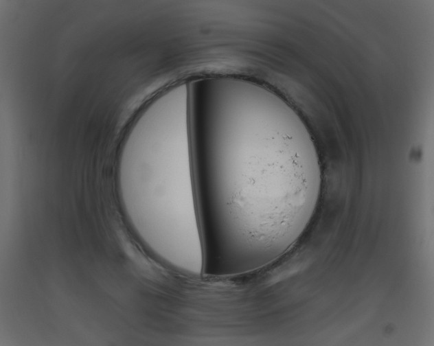 X0000093440446200710120948