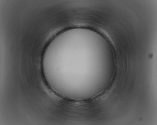 X0000093440447200710120948