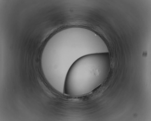 X0000093440448200710120948