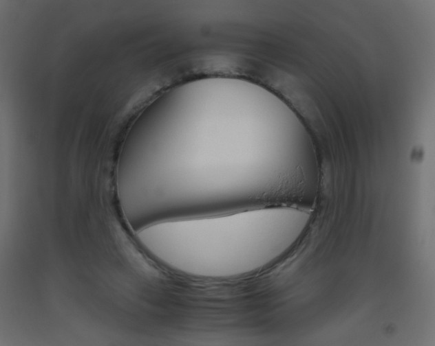 X0000093440449200710120948