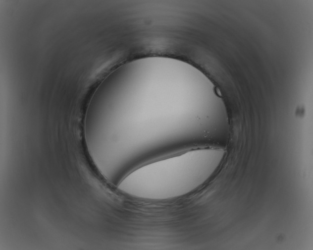 X0000093440450200710120948