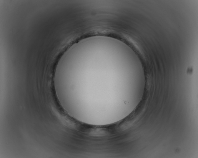 X0000093440451200710120948