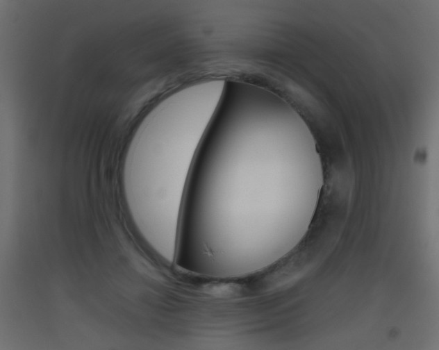 X0000093440452200710120948