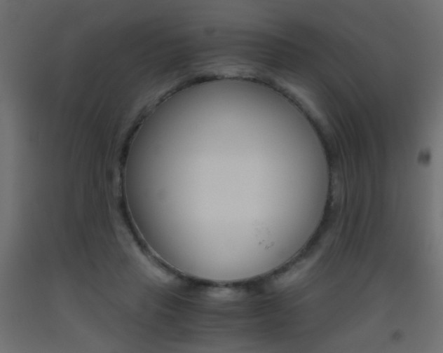 X0000093440453200710120948