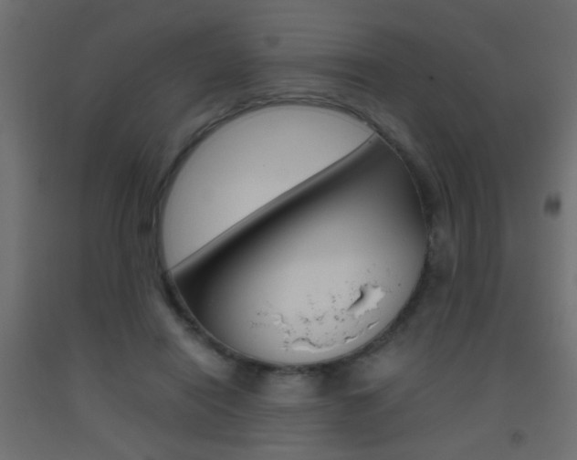 X0000093440454200710120948
