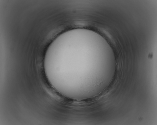 X0000093440455200710120948
