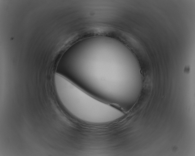 X0000093440456200710120948