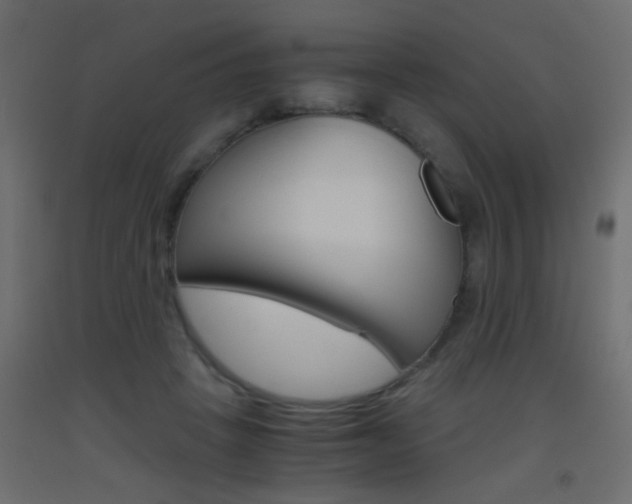 X0000093440457200710120949