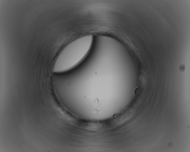 X0000093440458200710120949