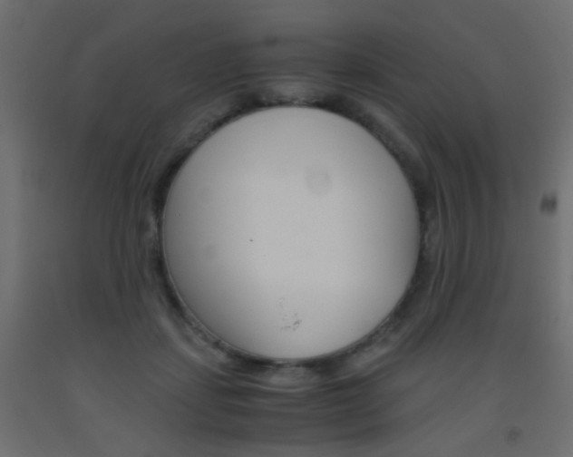 X0000093440459200710120949