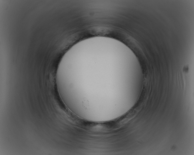 X0000093440460200710120949